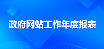 政府网站年度工作报表